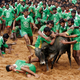 Illustration for article titled Bull Taming Is A Thing, And Yes, It Gets People Hurt